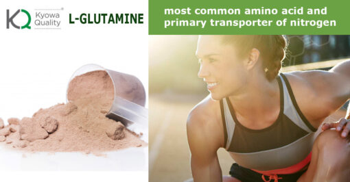 L-Glutamine L-Glutamine