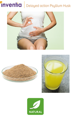 Delyed Action Pysllium Husk
