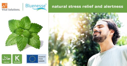 Bluenese Bluenese -for natiral stress relief and alertness