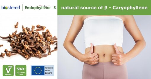 Endophyllene® - S - a nutral cource of Caryophyllene